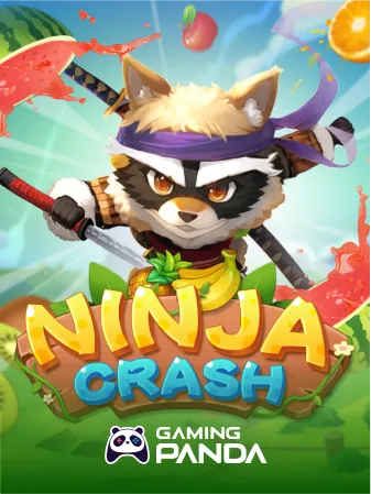 Ninja Crash